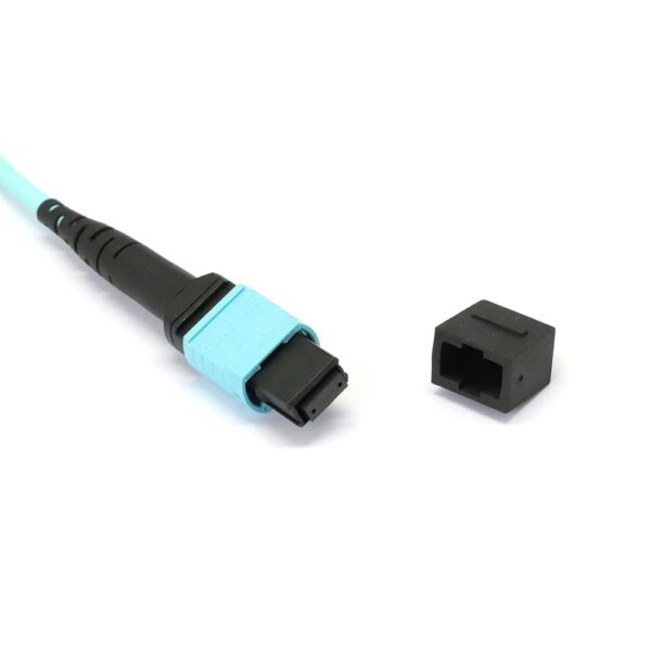 MTP to MTP Female 8 Fibers OM3 OFNP Multimode Trunk Cable