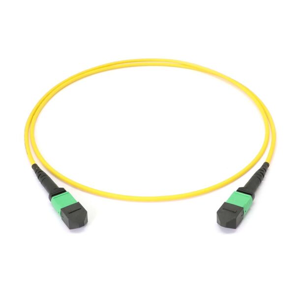 MTP to MTP Female 8 Fibers OS2 OFNP Singlemode Trunk Cable