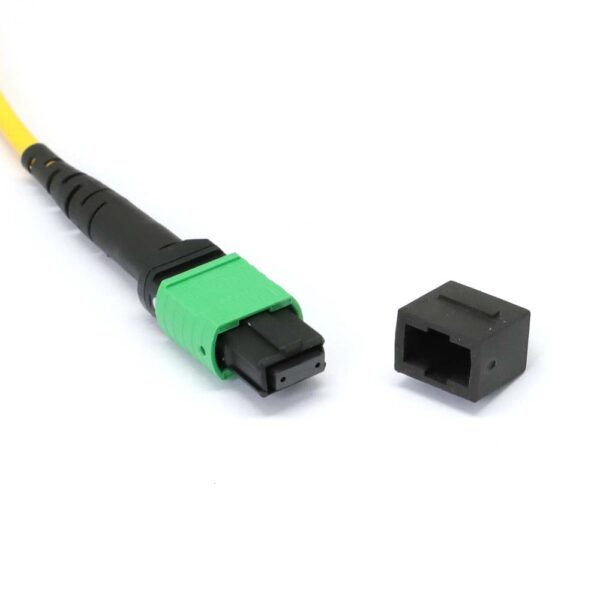 MTP to MTP Female 12 Fibers OS2 OFNP Singlemode Trunk Cable