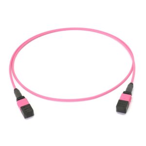 MPO to MPO Female 8 Fibers OM4 LSZH Multimode Trunk Cable