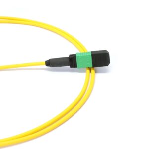 MPO to MPO Female 12 Fibers OS2 OFNP Singlemode Trunk Cable