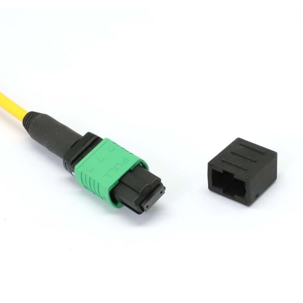 MPO to MPO Female 8 Fibers OS2 OFNP Singlemode Trunk Cable