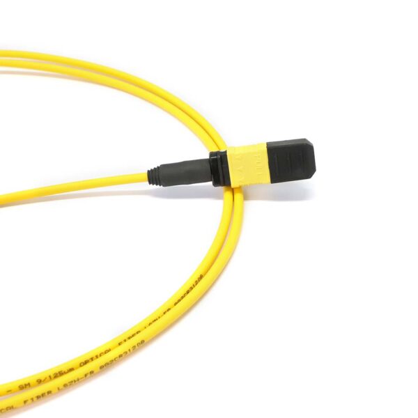 MPO to MPO (Low Loss) Female 8 Fibers OS2 OFNP Singlemode Trunk Cable