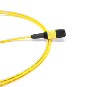 MPO to MPO (Low Loss) Female 12 Fibers OS2 OFNP Singlemode Trunk Cable