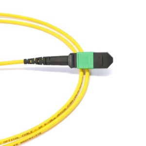 MTP to MTP Female 8 Fibers OS2 OFNP Singlemode Trunk Cable
